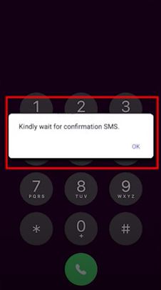 Wait for confirmation SMS for Mobile IMEI registration